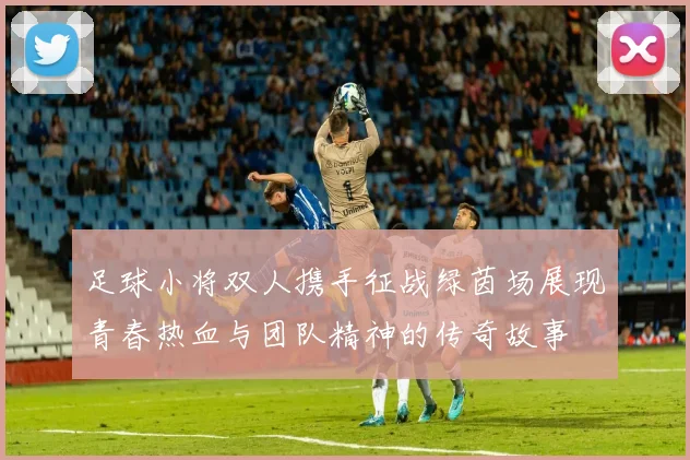 足球小将双人携手征战绿茵场展现青春热血与团队精神的传奇故事