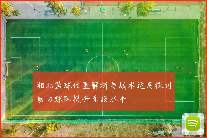 湘北篮球位置解析与战术运用探讨助力球队提升竞技水平