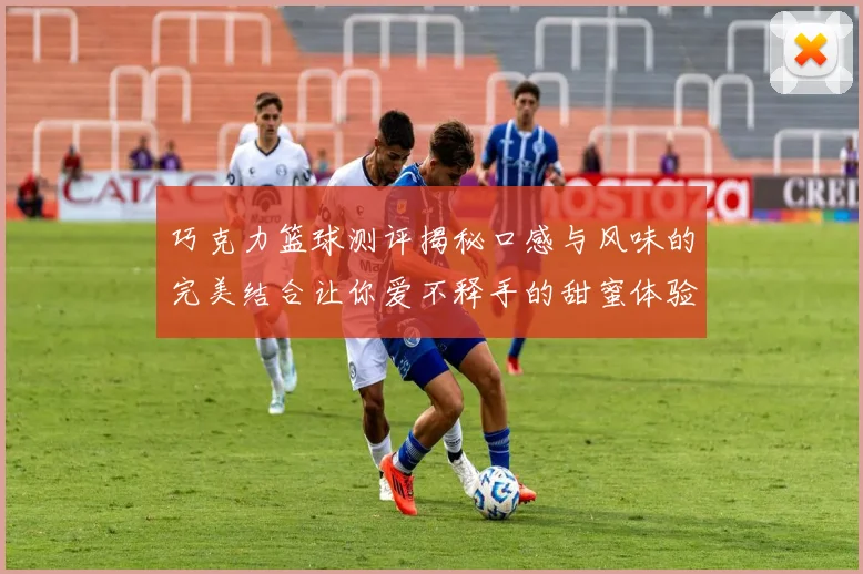 巧克力篮球测评揭秘口感与风味的完美结合让你爱不释手的甜蜜体验