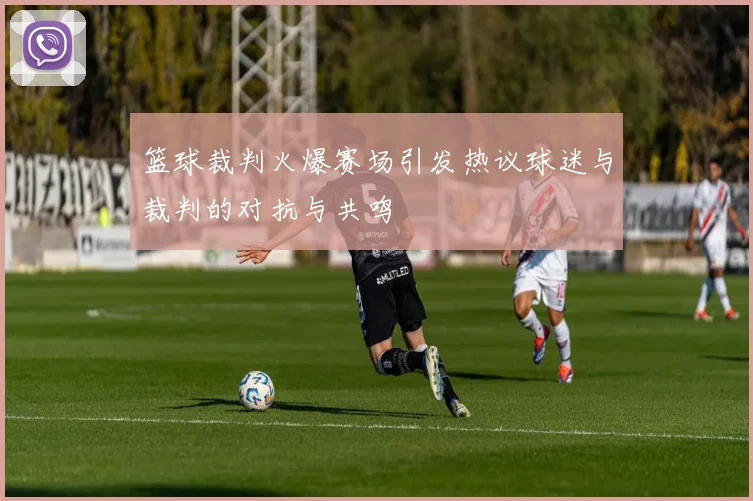 篮球裁判火爆赛场引发热议球迷与裁判的对抗与共鸣