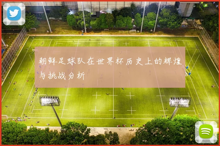 朝鲜足球队在世界杯历史上的辉煌与挑战分析